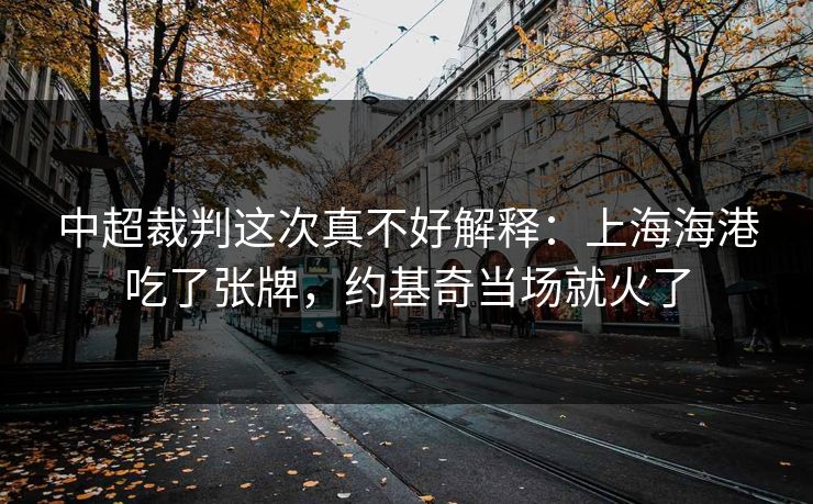 中超裁判这次真不好解释：上海海港吃了张牌，约基奇当场就火了