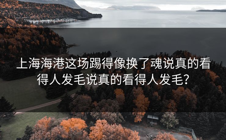 详细阅读:上海海港这场踢得像换了魂说真的看得人发毛说真的看得人发毛? 上海海港这场踢得像换了魂说真的看得人发毛说真的看得人发毛?