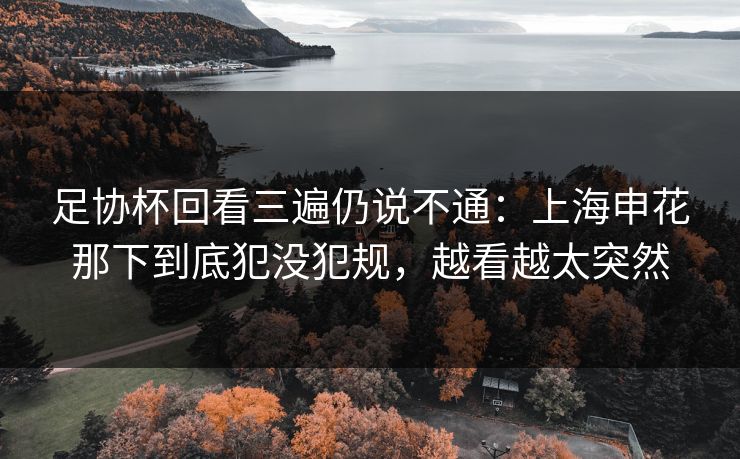 足协杯回看三遍仍说不通:上海申花那下到底犯没犯规,越看越太突然